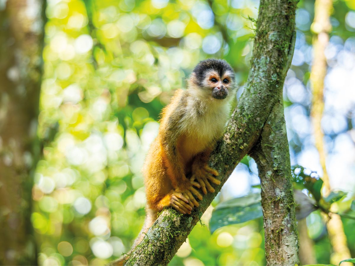 06-07-Travel-Sensations-OpVakantie-voorjaar-2026-ED20_page_6_item_3