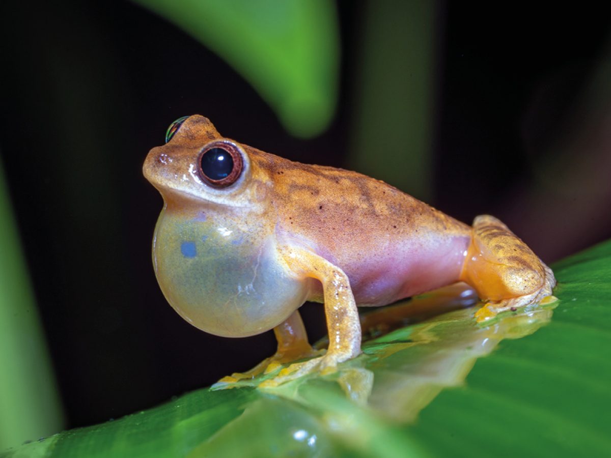 06-07-Travel-Sensations-OpVakantie-voorjaar-2026-ED20_page_7_item_6