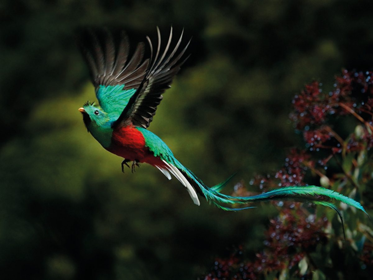 06-07-Travel-Sensations-OpVakantie-voorjaar-2026-ED20_page_7_item_8