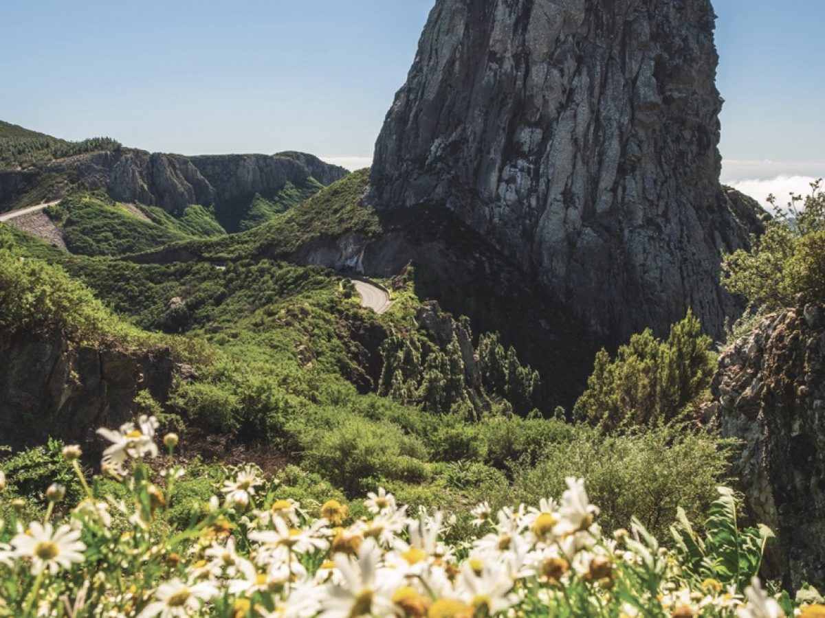 06-LaGomera062-Groot