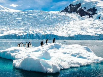 11-dagen-great-white-continent-cruise-antarctica-seabourn-2-scaled