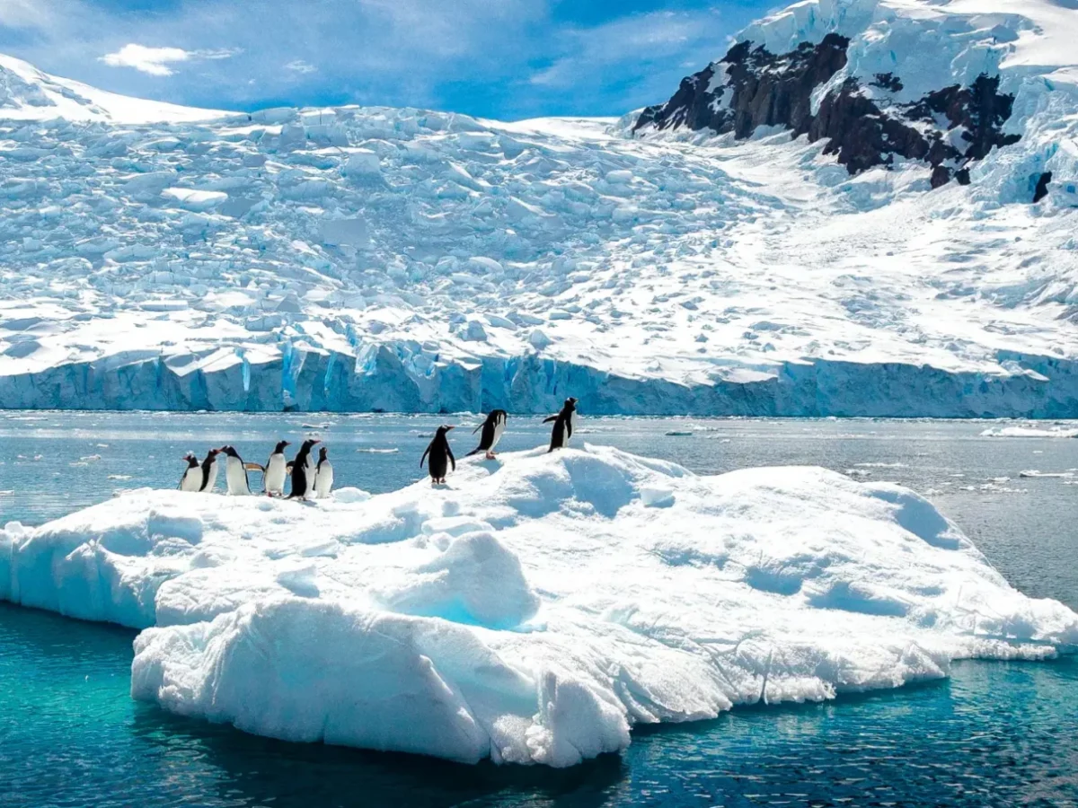 11-dagen-great-white-continent-cruise-antarctica-seabourn-2-scaled