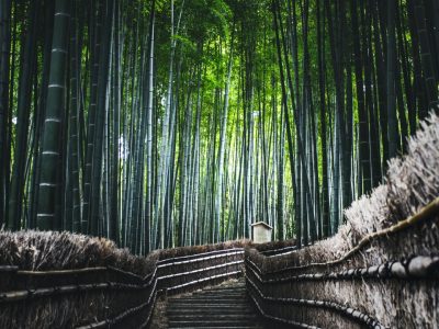 13-daagse-promo-rondreis-japan-tokyo-kyoto-hiroshima-kaga-onsen-vertrek-29-maart-2027-5