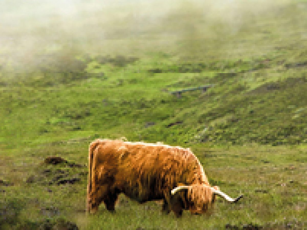 14-15-Beautiful-Britain-OpVakantie-voorjaar-2026-ED20_page_14_item_1