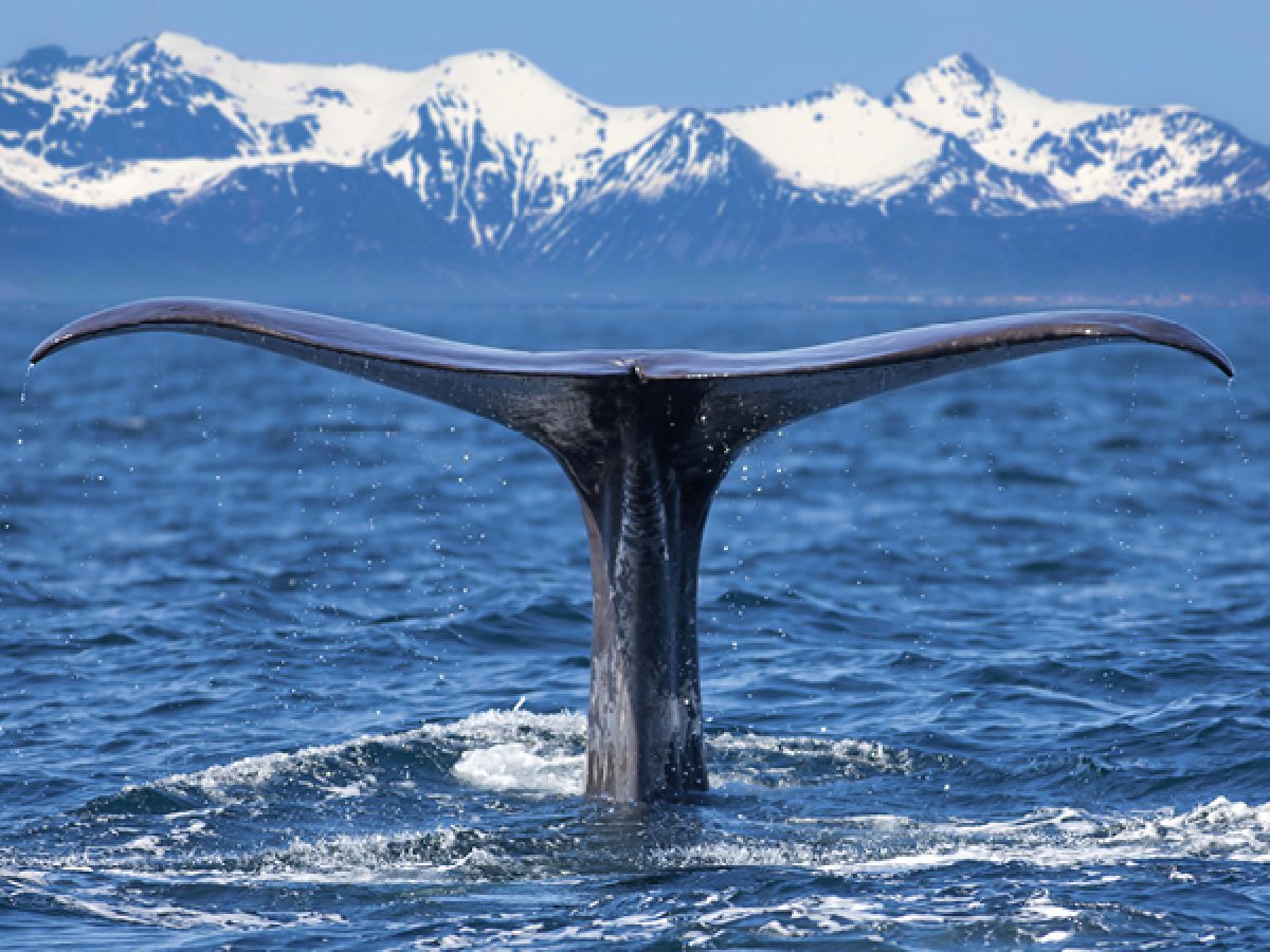 18-19-SudAm-Asteria-OpVakantie-voorjaar-2026-ED20_page_19_item_7