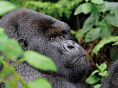 28-29-Live To Travel-OpVakantie-voorjaar-2026-ED20_page_28_item_8