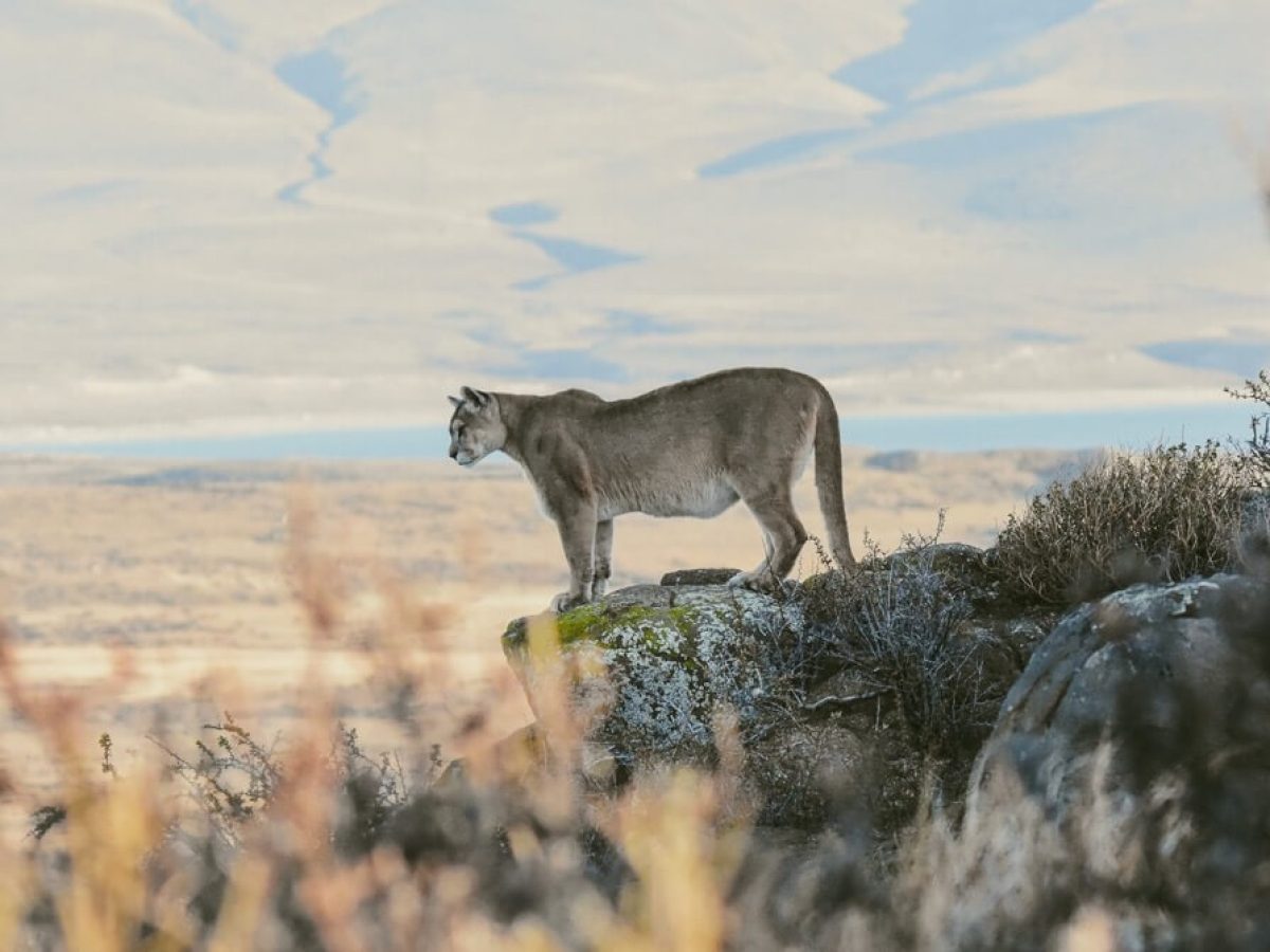 375330136_319669677240936_2307563891155012325_n-Groot-r8684vmhqiw159n8f20p4vici6soys2vql4gbaejag