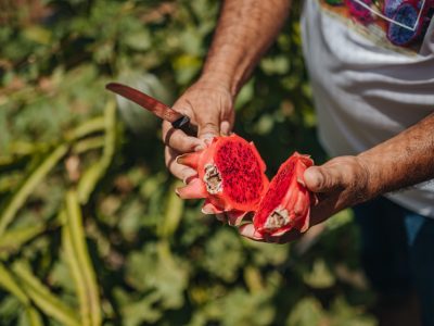 Cunucu-di-Jimmy-Groot