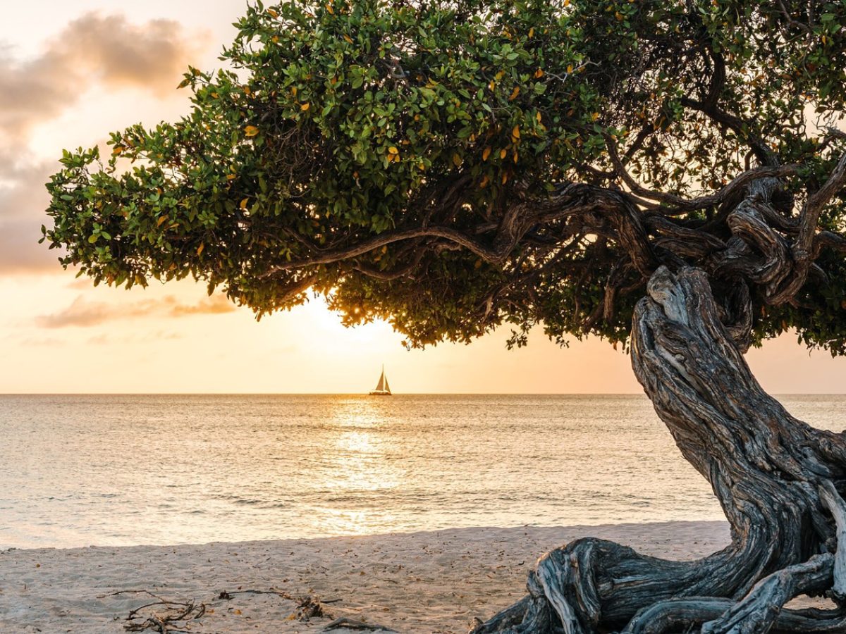 Eagle-Beach-Billboard-Quality-Groot