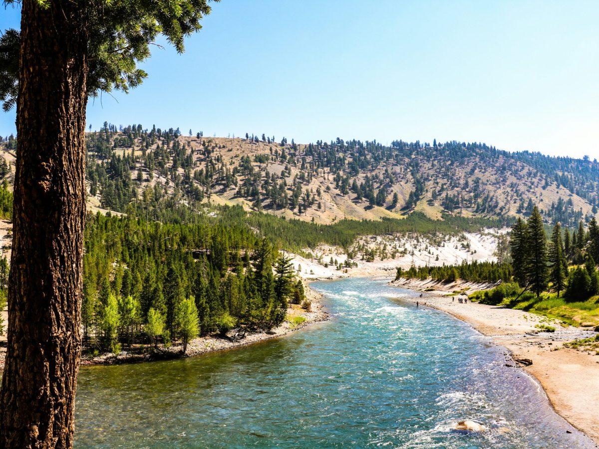 Rondreis-usa-yellowstone-country-wild-spirits-2