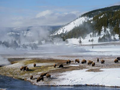 Rondreis-usa-yellowstone-country-wild-spirits-6