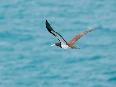 kimberley-full-Groot-07