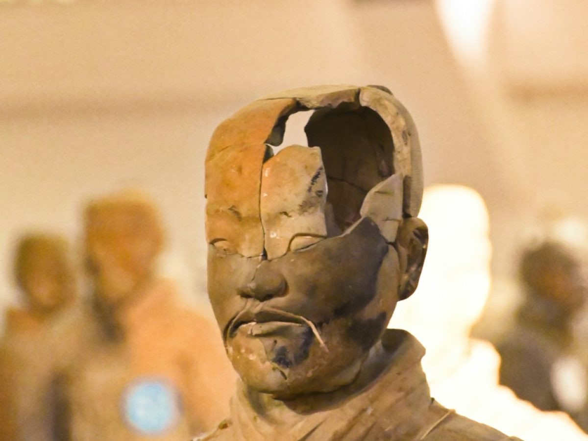 manish-tulaskar-hfepFrqCvyA-unsplash-Groot