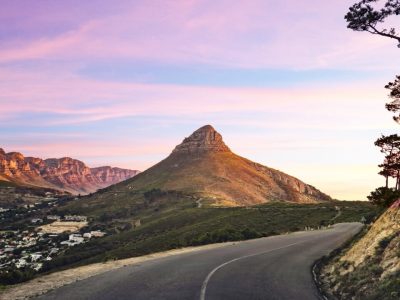 matt-halls-IW7dq-pT80s-unsplash-Groot