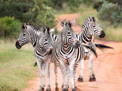 ontdek-sebatana-dag-7