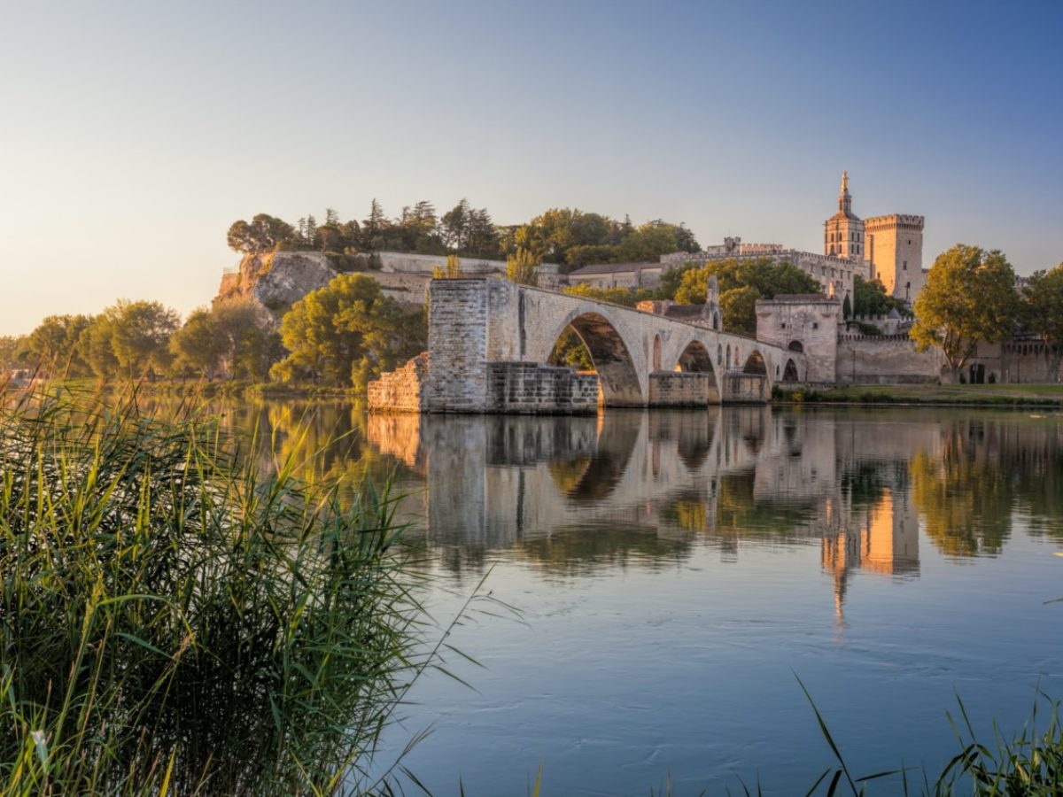 shutterstock_577702135-Groot