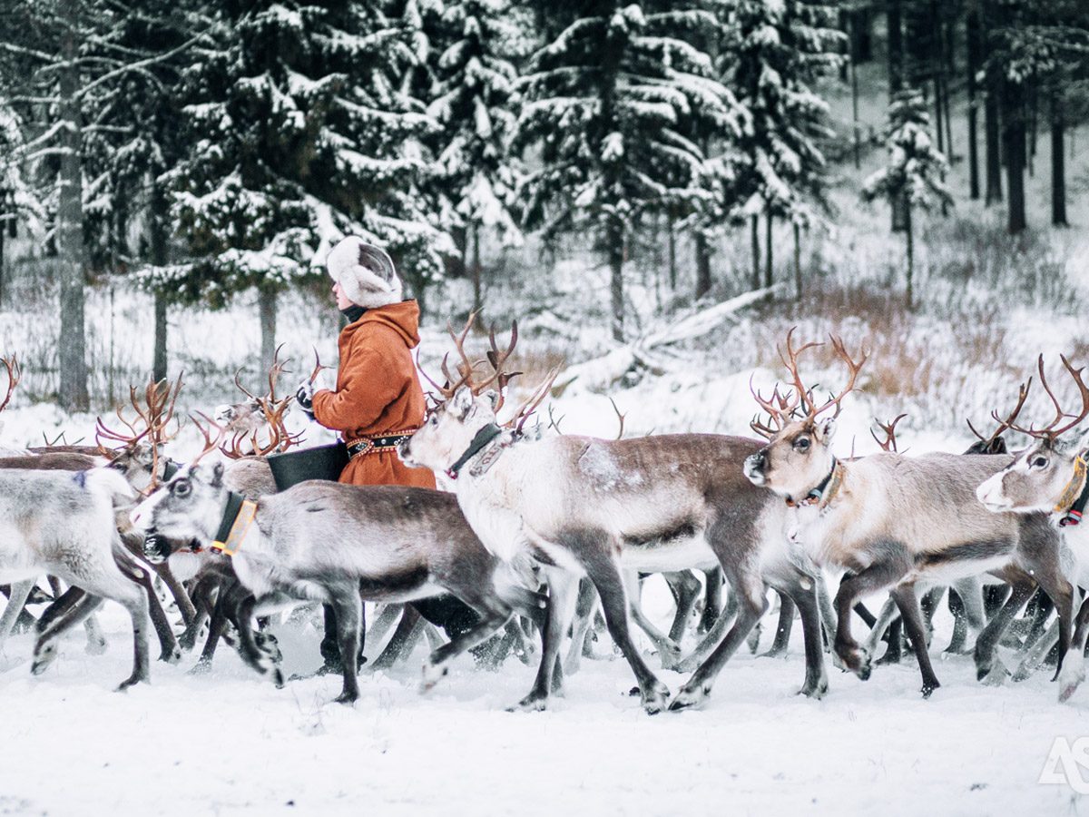 sky-view-villa-shortbreak-bezoek-rendierboerderij2